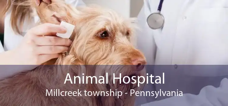 Animal Hospital Millcreek township - Pennsylvania