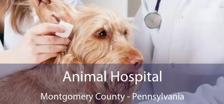 Animal Hospital Montgomery County - Pennsylvania