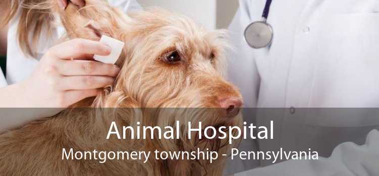 Animal Hospital Montgomery township - Pennsylvania
