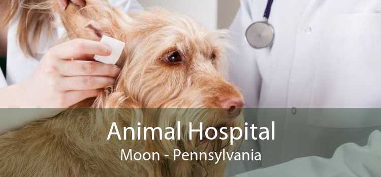 Animal Hospital Moon - Pennsylvania