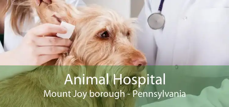 Animal Hospital Mount Joy borough - Pennsylvania