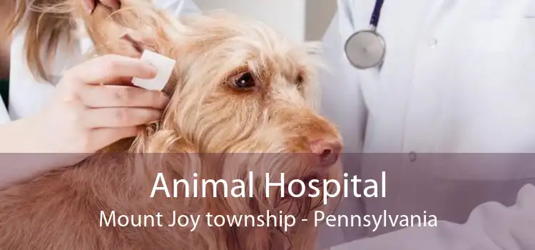 Animal Hospital Mount Joy township - Pennsylvania