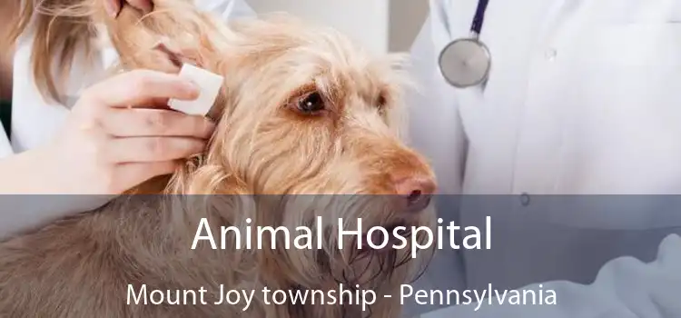 Animal Hospital Mount Joy township - Pennsylvania