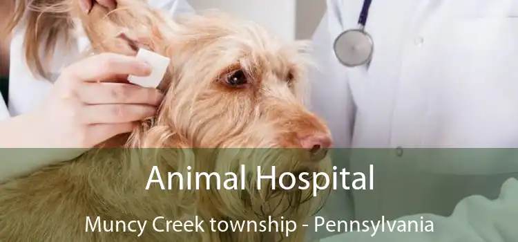 Animal Hospital Muncy Creek township - Pennsylvania
