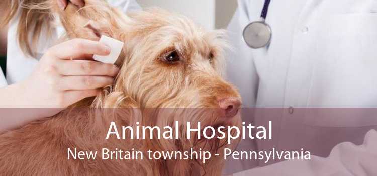Animal Hospital New Britain township - Pennsylvania