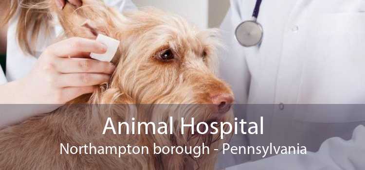 Animal Hospital Northampton borough - Pennsylvania