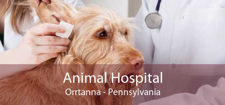 Animal Hospital Orrtanna - Pennsylvania
