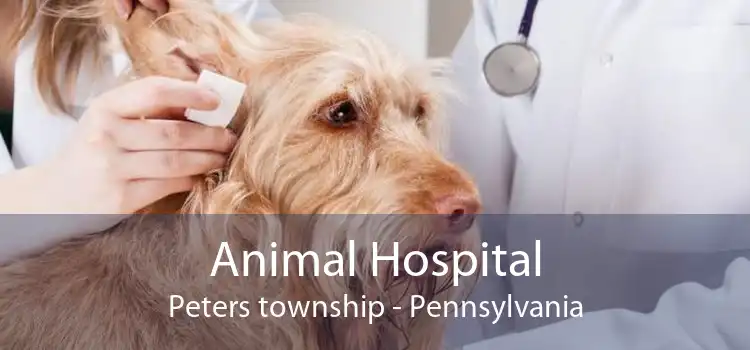 Animal Hospital Peters township - Pennsylvania