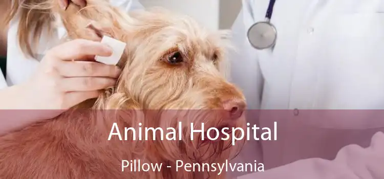 Animal Hospital Pillow - Pennsylvania