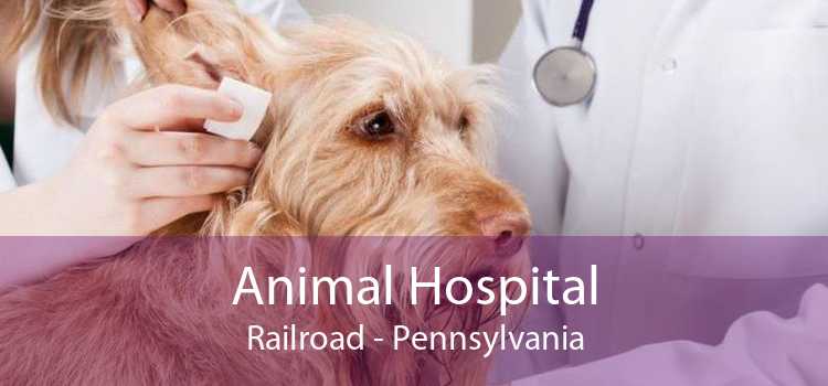 Animal Hospital Railroad - Pennsylvania