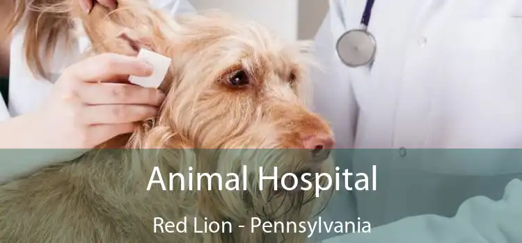 Animal Hospital Red Lion - Pennsylvania