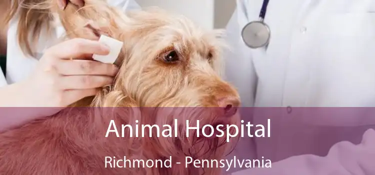 Animal Hospital Richmond - Pennsylvania