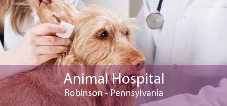 Animal Hospital Robinson - Pennsylvania
