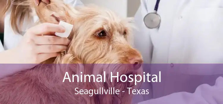 Animal Hospital Seagullville - Texas