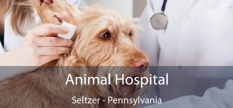 Animal Hospital Seltzer - Pennsylvania