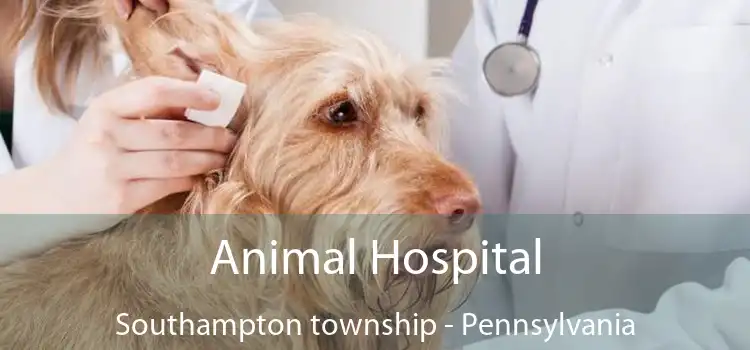 Animal Hospital Southampton township - Pennsylvania