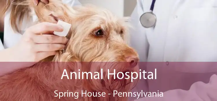 Animal Hospital Spring House - Pennsylvania