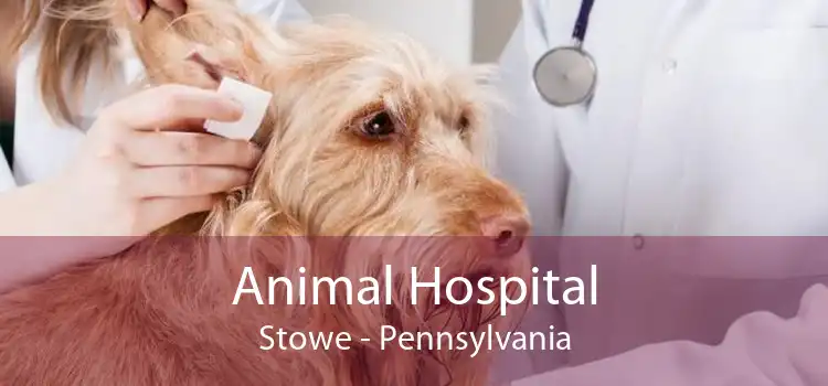 Animal Hospital Stowe - Pennsylvania