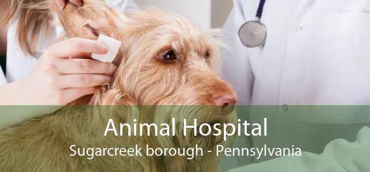 Animal Hospital Sugarcreek borough - Pennsylvania