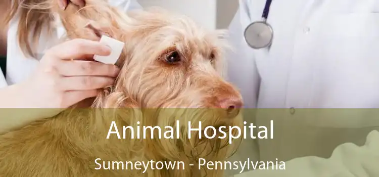 Animal Hospital Sumneytown - Pennsylvania
