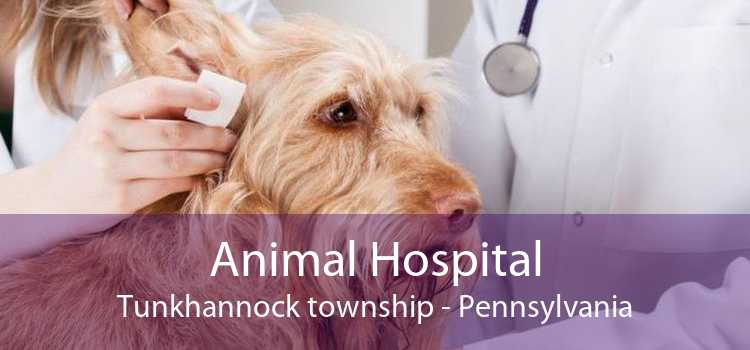 Animal Hospital Tunkhannock township - Pennsylvania