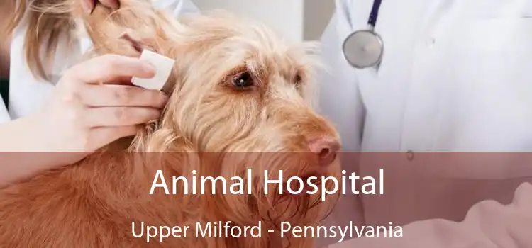 Animal Hospital Upper Milford - Pennsylvania