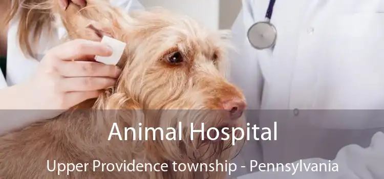 Animal Hospital Upper Providence township - Pennsylvania
