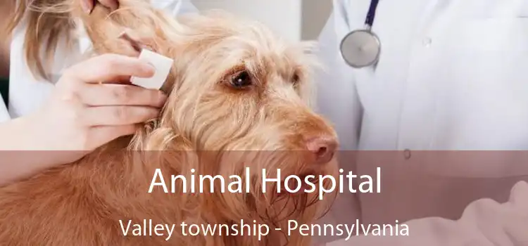 Animal Hospital Valley township - Pennsylvania