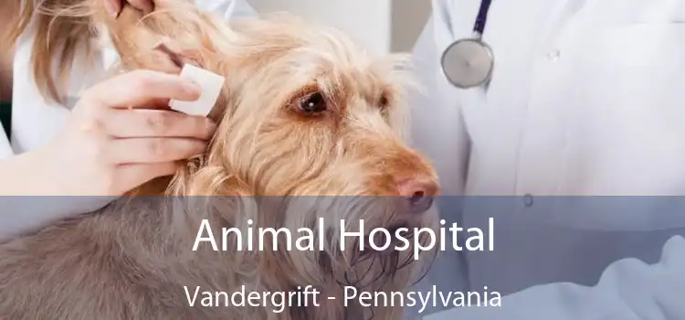 Animal Hospital Vandergrift - Pennsylvania