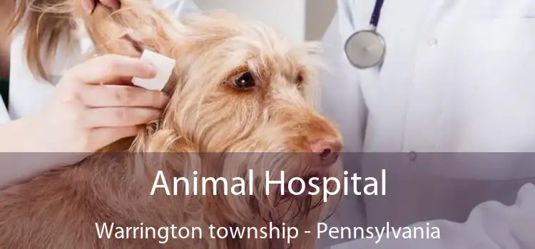 Animal Hospital Warrington township - Pennsylvania