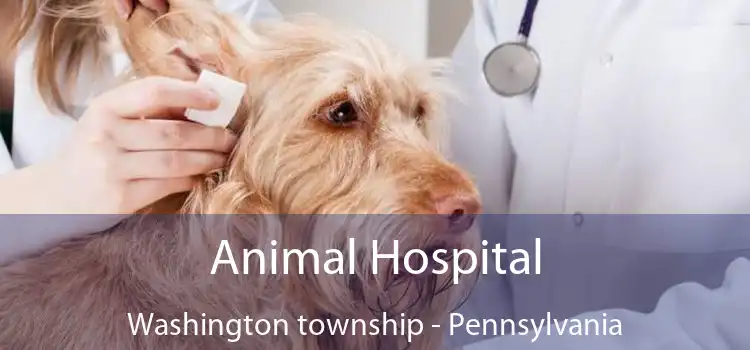 Animal Hospital Washington township - Pennsylvania