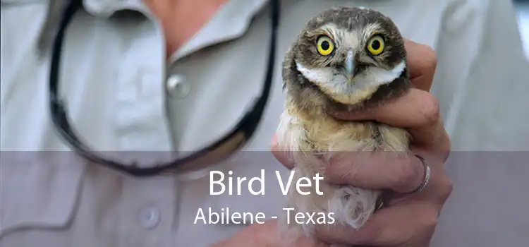 Bird Vet Abilene - Texas