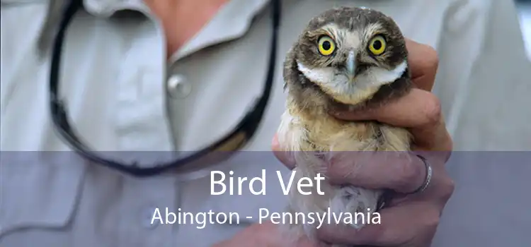 Bird Vet Abington - Pennsylvania