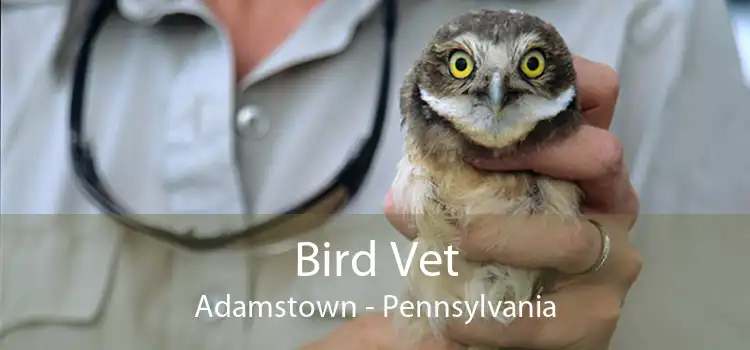 Bird Vet Adamstown - Pennsylvania