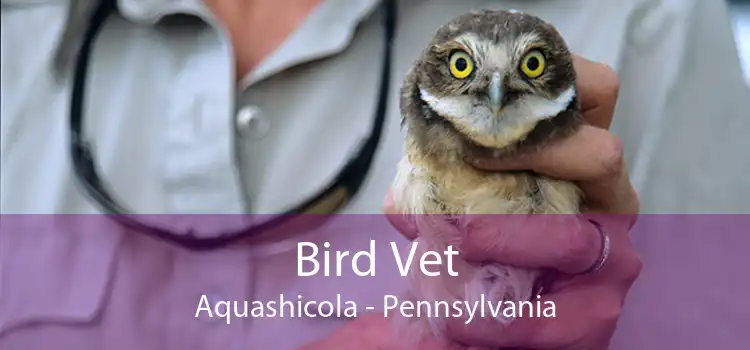 Bird Vet Aquashicola - Pennsylvania