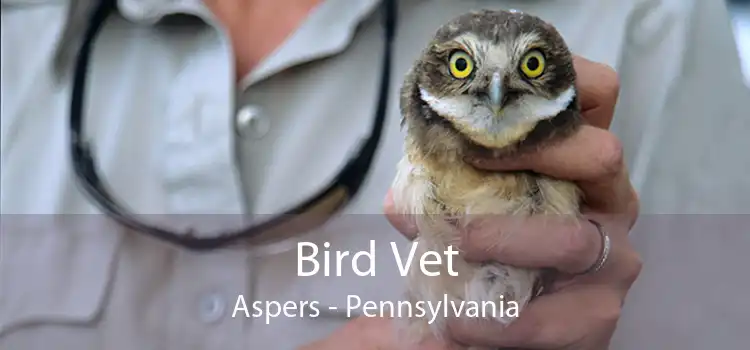 Bird Vet Aspers - Pennsylvania