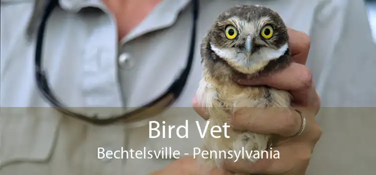 Bird Vet Bechtelsville - Pennsylvania