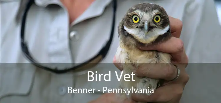 Bird Vet Benner - Pennsylvania