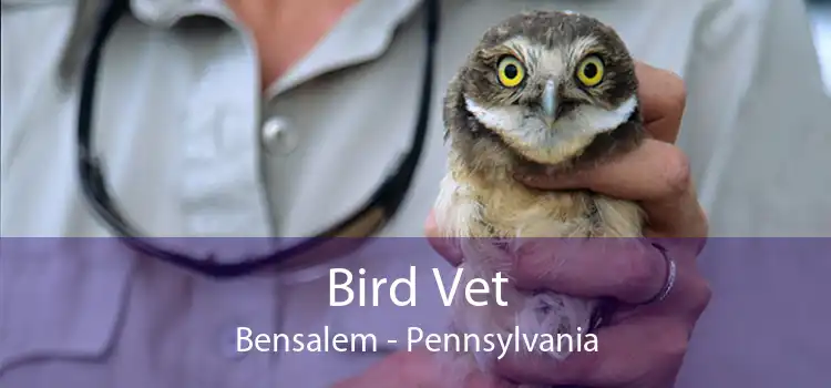 Bird Vet Bensalem - Pennsylvania