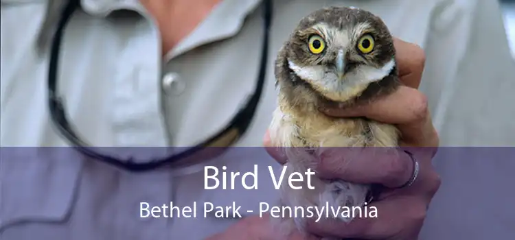 Bird Vet Bethel Park - Pennsylvania