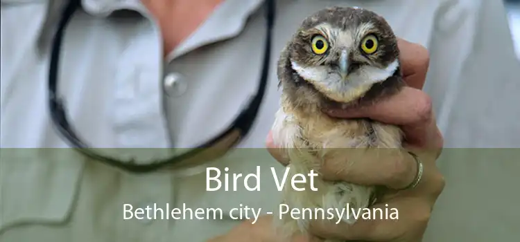 Bird Vet Bethlehem city - Pennsylvania