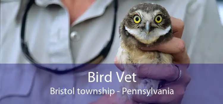 Bird Vet Bristol township - Pennsylvania