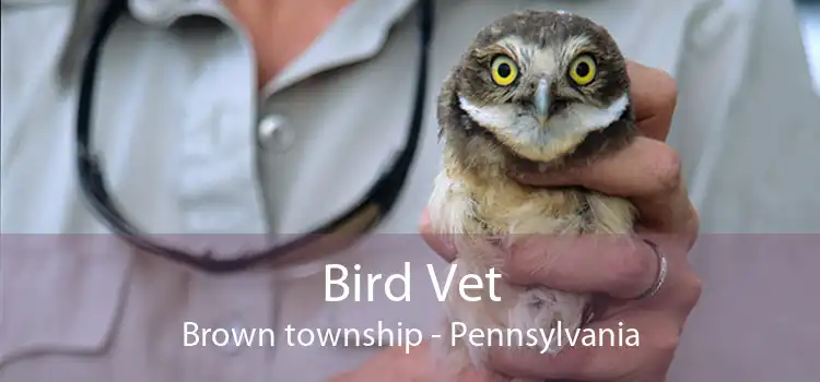 Bird Vet Brown township - Pennsylvania