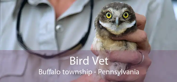 Bird Vet Buffalo township - Pennsylvania