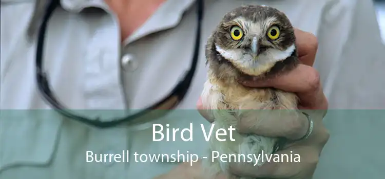 Bird Vet Burrell township - Pennsylvania