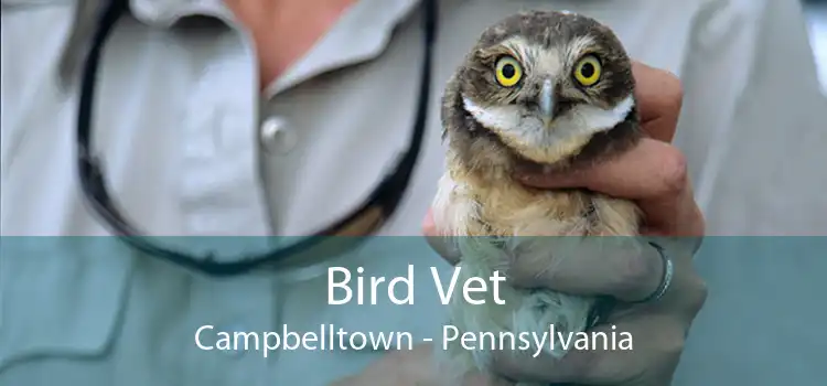Bird Vet Campbelltown - Pennsylvania