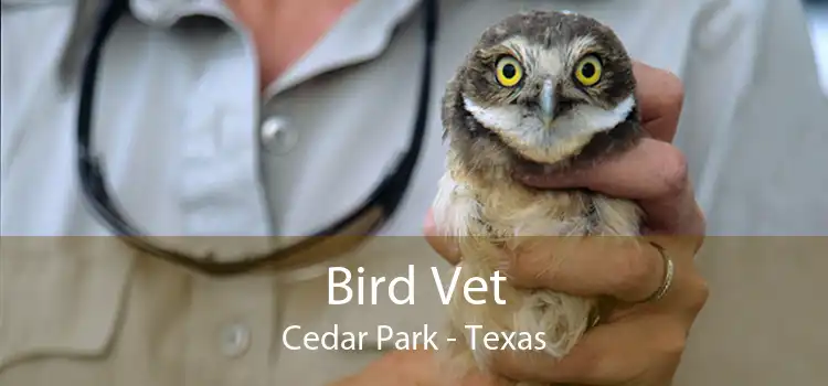 Bird Vet Cedar Park - Texas