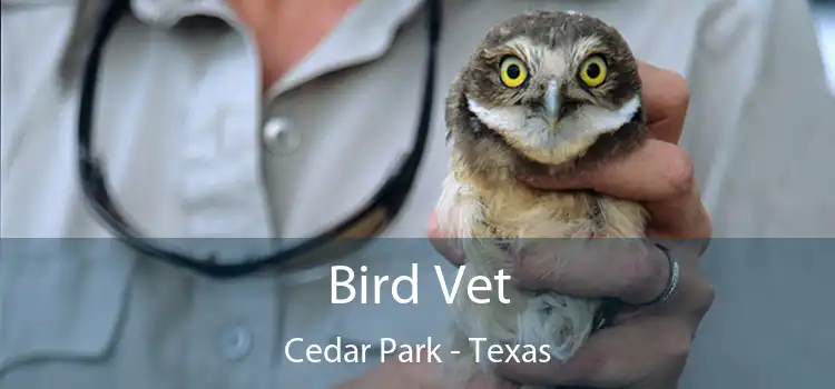 Bird Vet Cedar Park - Texas