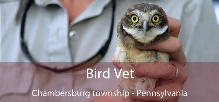 Bird Vet Chambersburg township - Pennsylvania