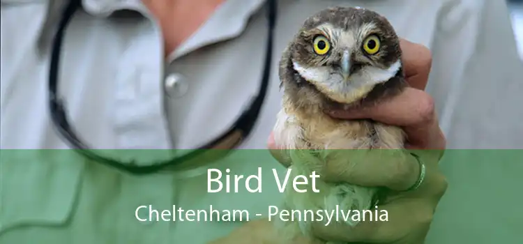 Bird Vet Cheltenham - Pennsylvania
